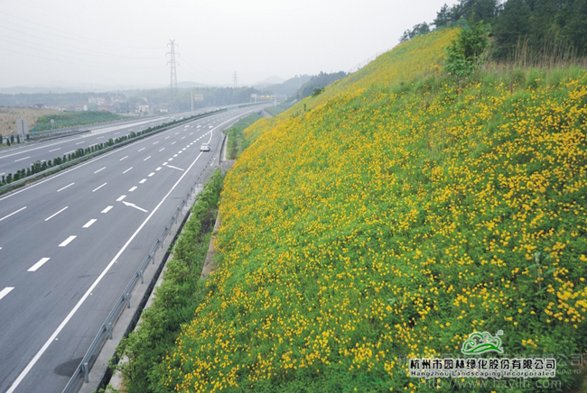 pg电子模拟器(中国)官方网站