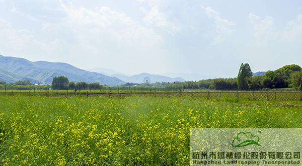 pg电子模拟器(中国)官方网站