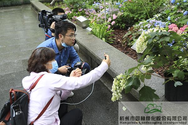 pg电子模拟器(中国)官方网站