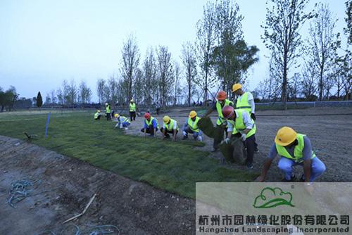 pg电子模拟器(中国)官方网站