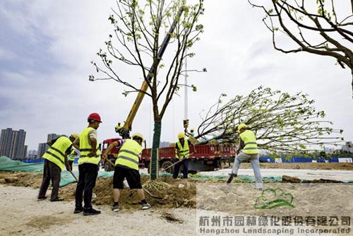 pg电子模拟器(中国)官方网站