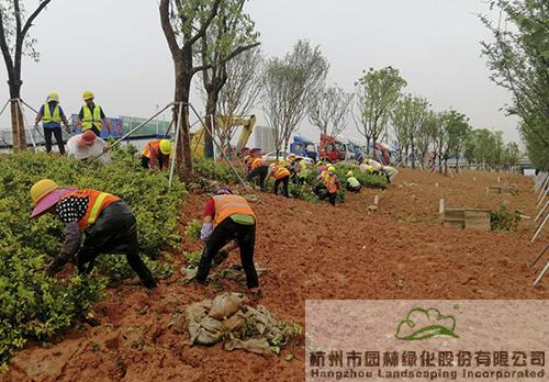 pg电子模拟器(中国)官方网站