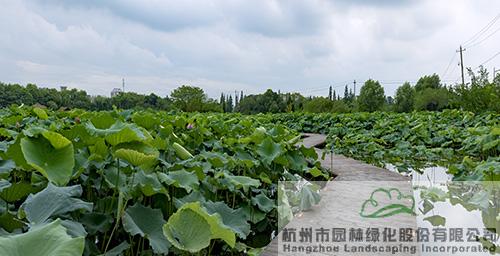 pg电子模拟器(中国)官方网站