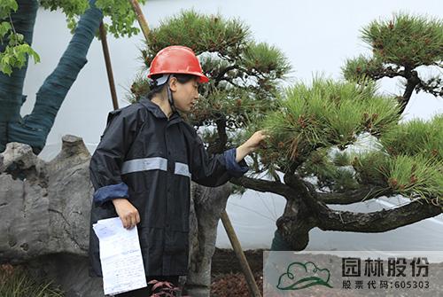 pg电子模拟器(中国)官方网站