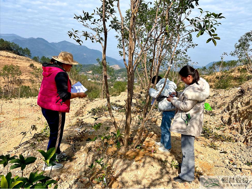 pg电子模拟器(中国)官方网站