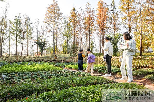 pg电子模拟器(中国)官方网站