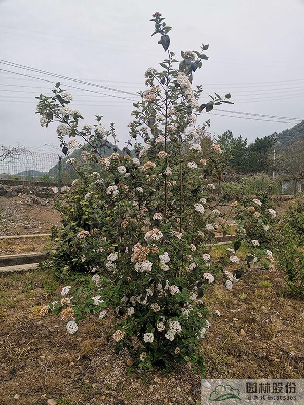 pg电子模拟器(中国)官方网站