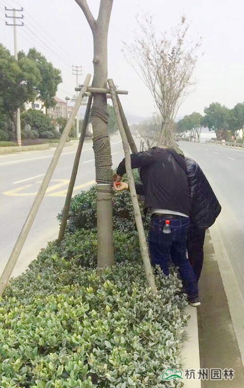 pg电子模拟器(中国)官方网站